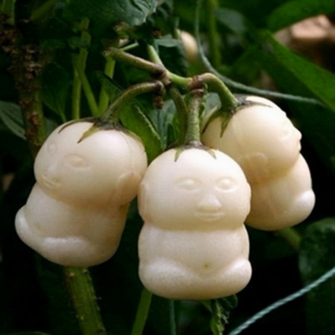 修真各级别寿命是多少,修真之人寿命