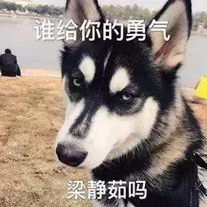 中国护照过期了怎么注销掉,中国护照被注销意味着什么