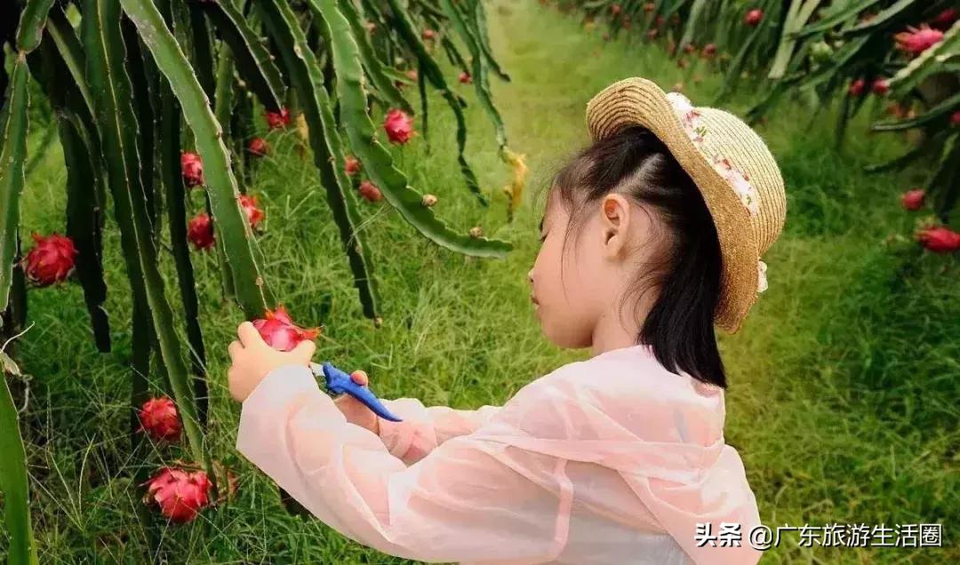 三亚湾高级海景房599元两晚,299入住两天一晚大床房