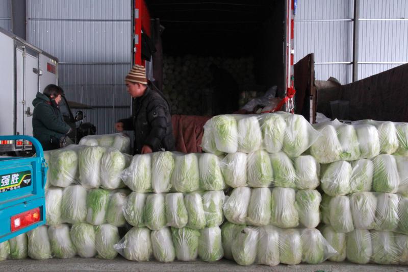 新开业的一级蔬菜批发市场,幸福蔬菜批发市场