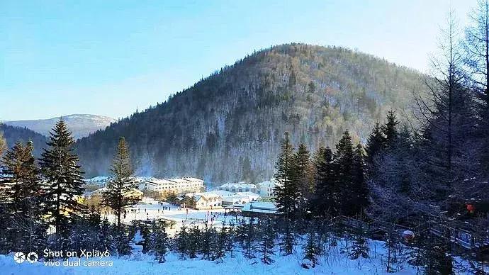 11月份的雪乡有雪吗,雪乡和新雪乡有什么区别