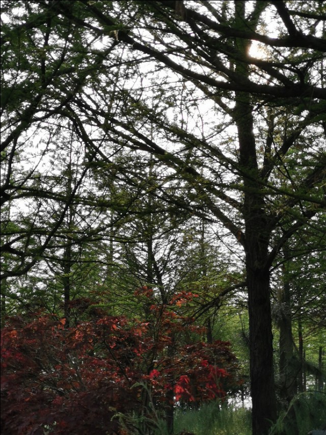 山东莒县重点发展,莒县近五年发展变化