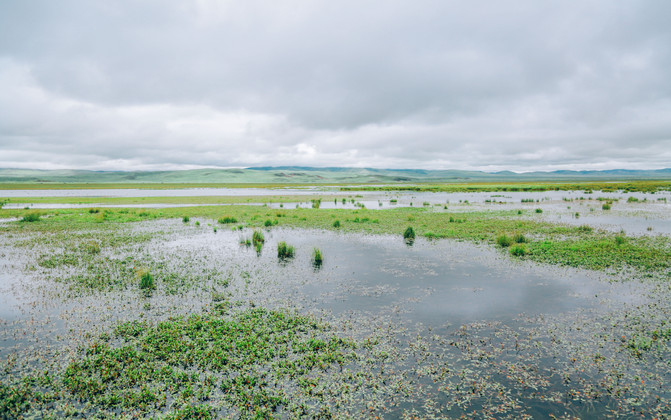 若尔盖5日游推荐,成都九寨沟黄龙若尔盖深度游