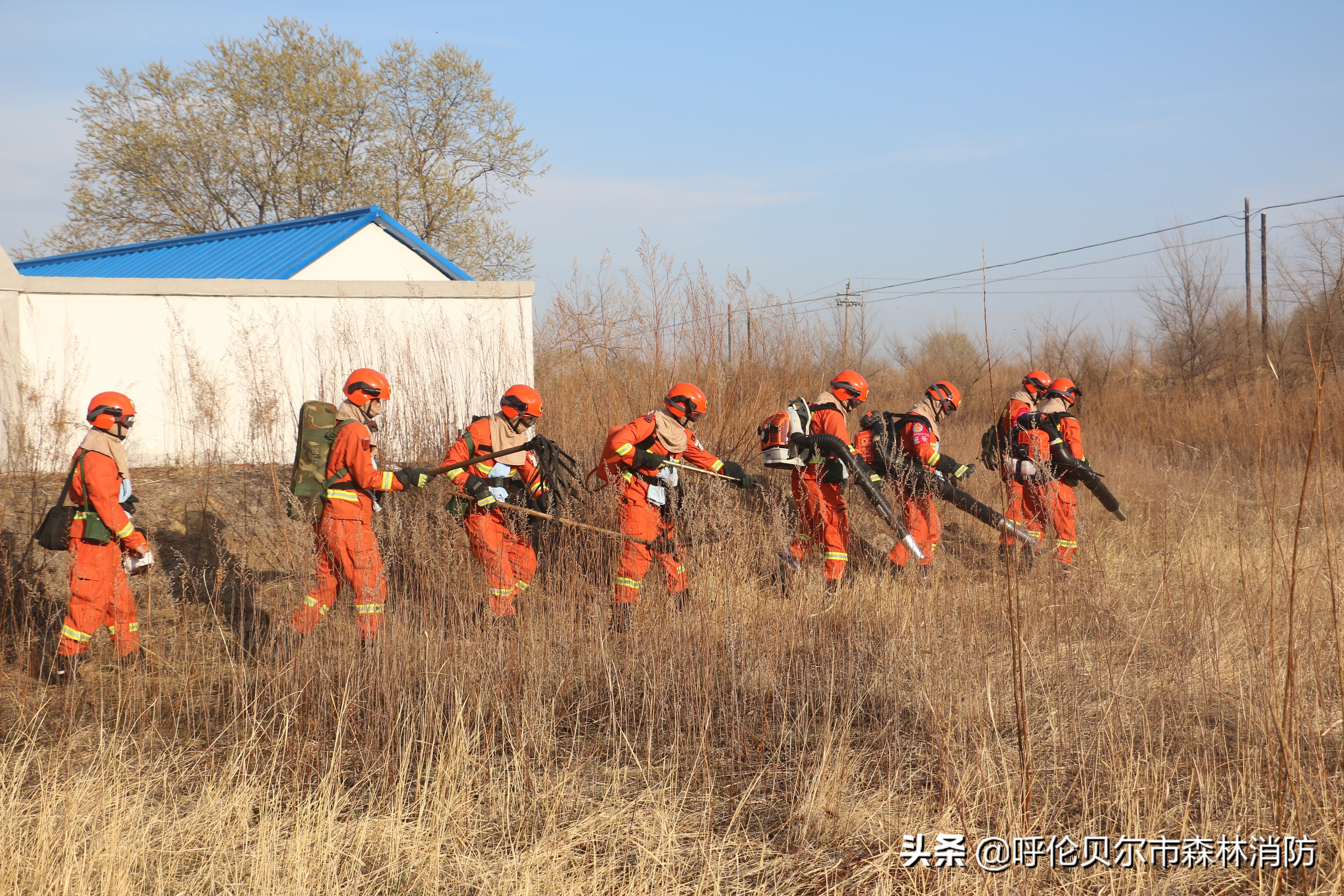 森林消防员纪录片片段,森林消防五一假期坚守岗位