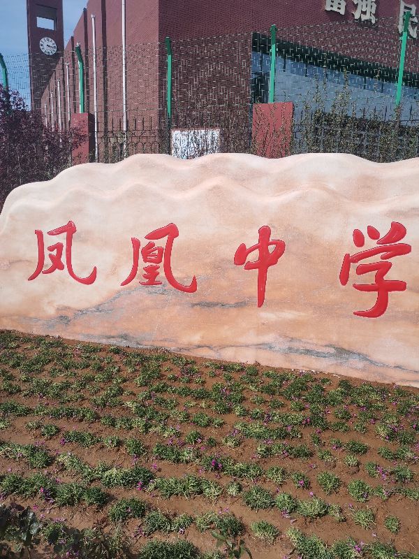 唐山凤凰中学划片小区,唐山凤凰中学怎么样