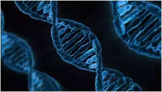 中国人高发的6大癌症不得不防！10个“危险信号”，人人都要知道