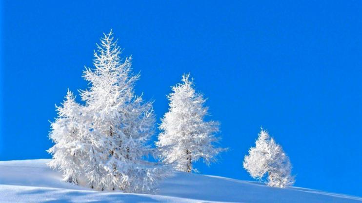 我们为什么会生病咳嗽,我们为什么会生病全文