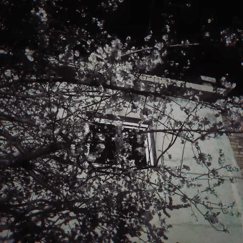 人的心声是绝对不容忽视的：穿越时空的信件