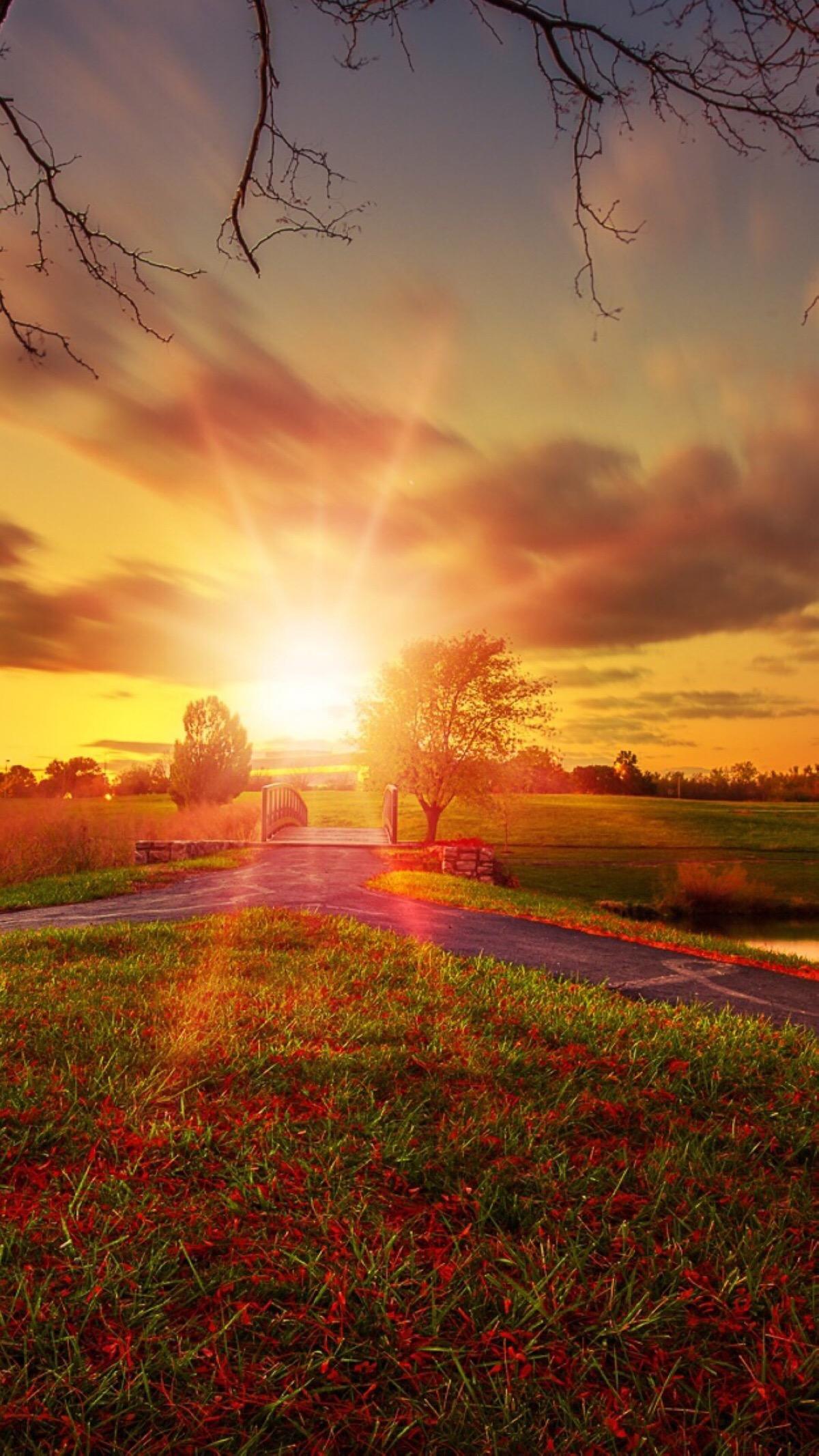 历史上名气最高的元曲,一项赞誉是超越唐诗宋词而得到的