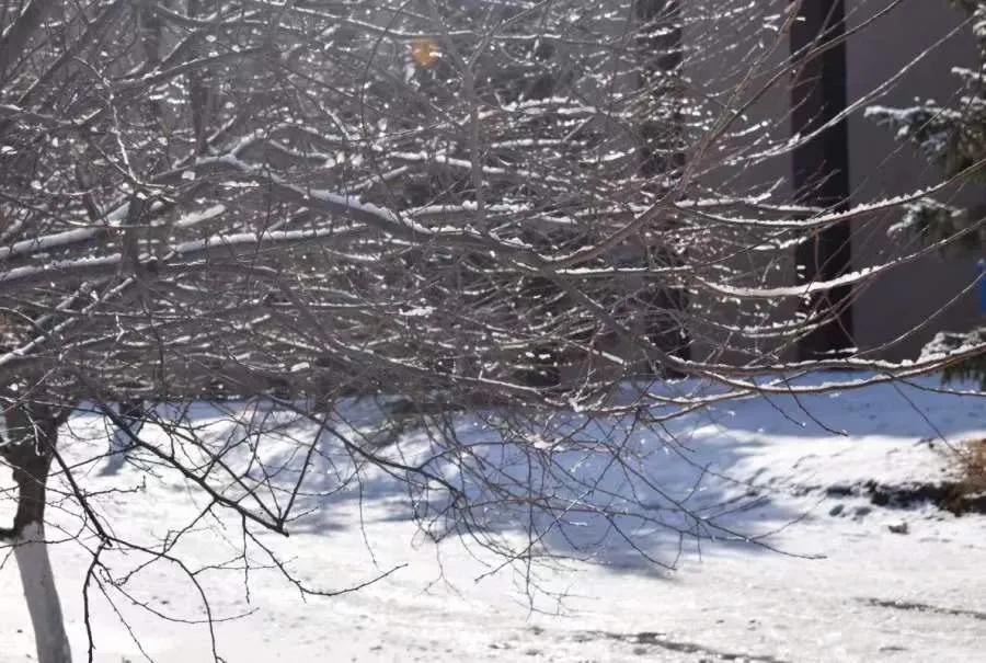 绿岛的雪，我最爱的样子你都有