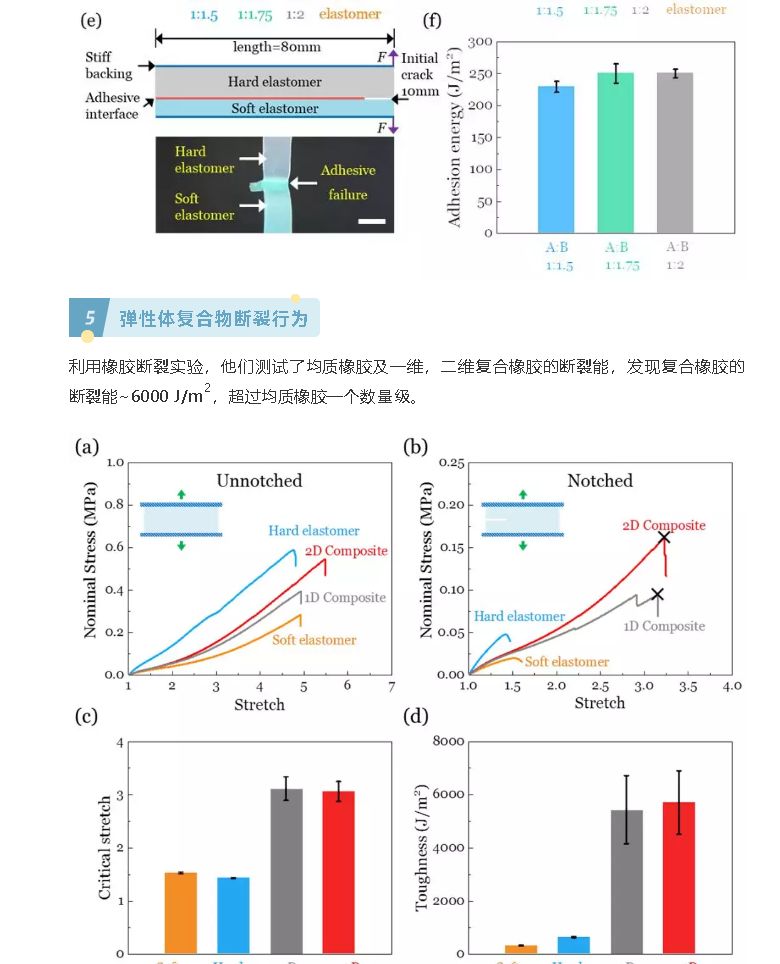 从聊城二中到西安交大再到北大哈佛——聊城二中优秀校友代表唐敬达同学风采