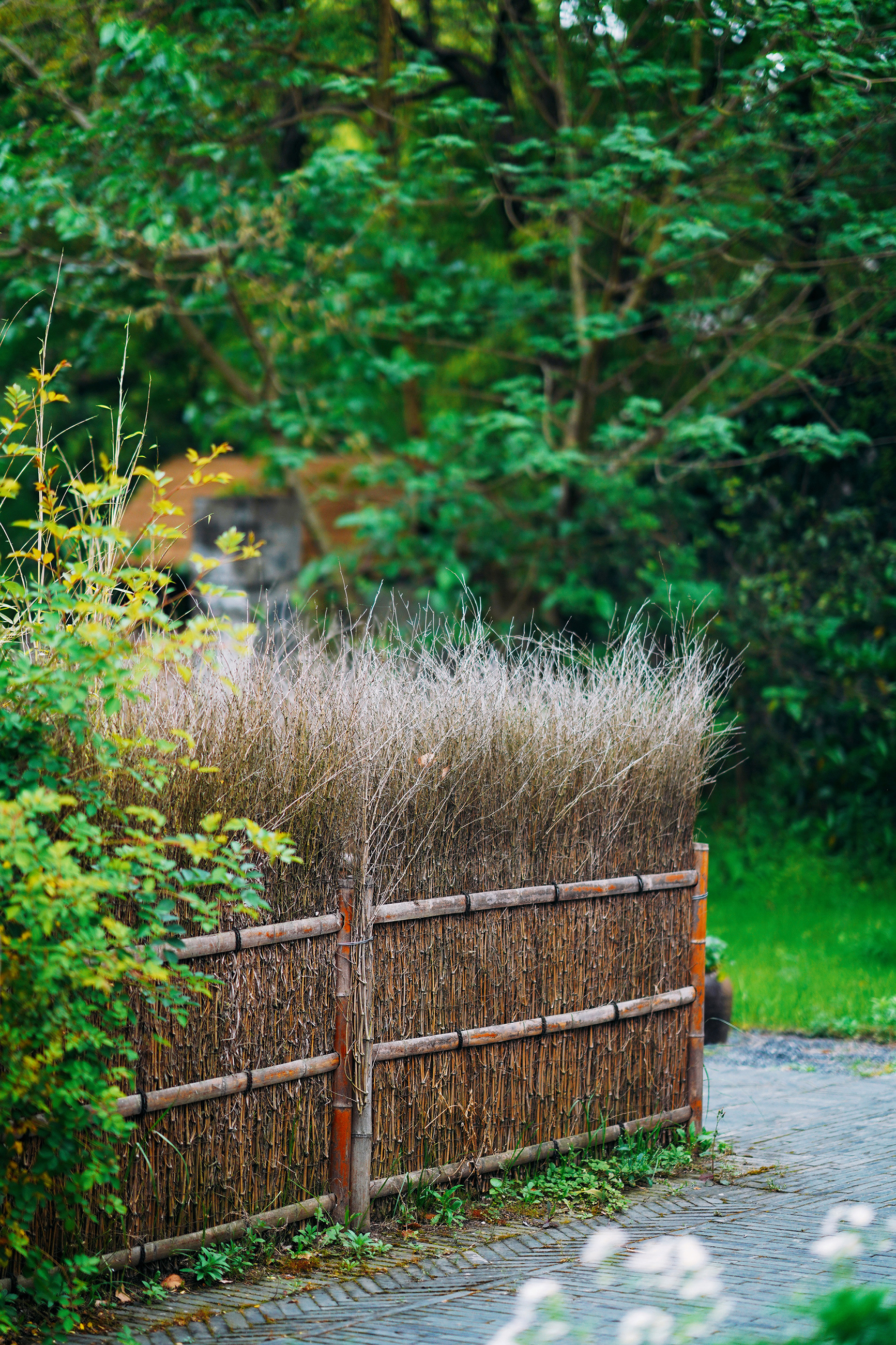 送你一份最地道的苏州逛吃攻略,苏州便宜又好看的民宿推荐