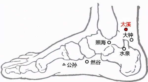 肾虚腰痛药,肾虚腰痛