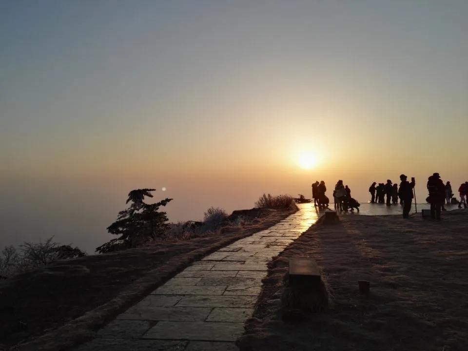 峨眉山有什么灵猴,峨眉山灵猴在哪