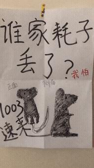 小龙虾9.9元广告,小龙虾店开业活动