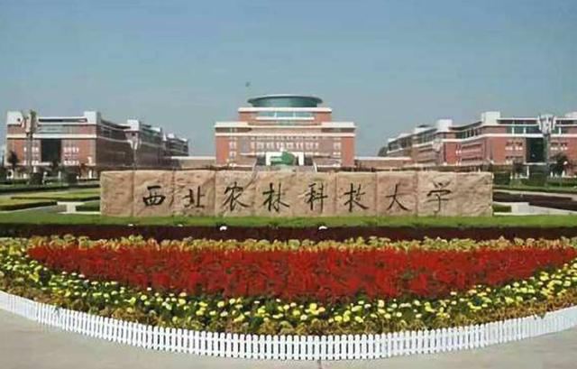 最容易被忽略的几所好大学,最容易被忽略的大学