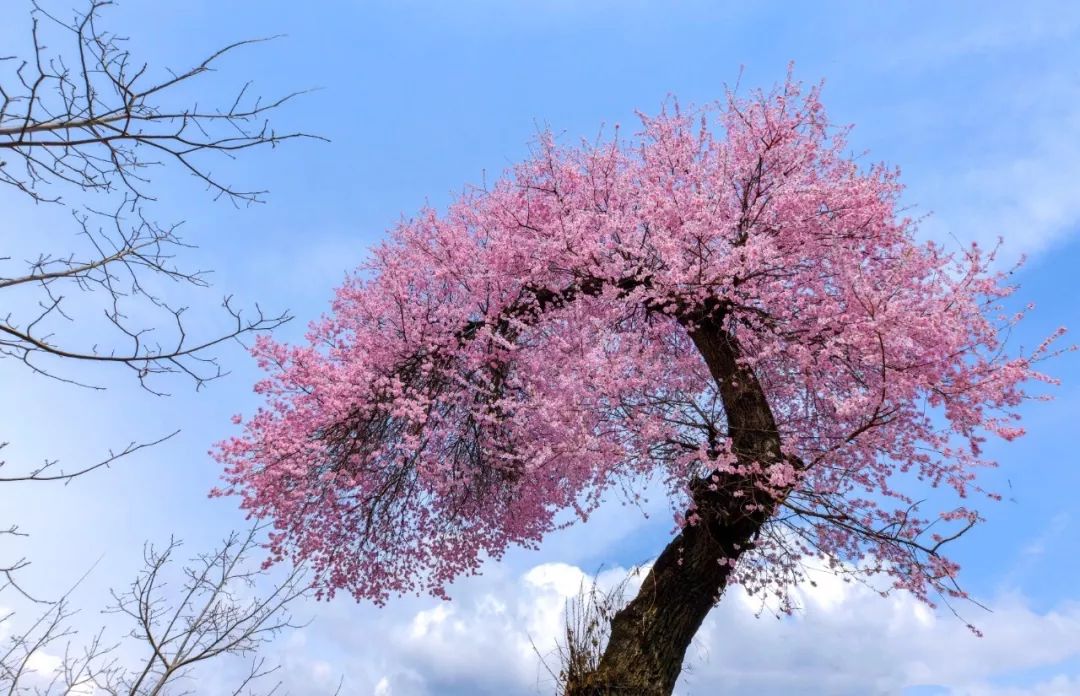 汶川是什么省,汶川大地震