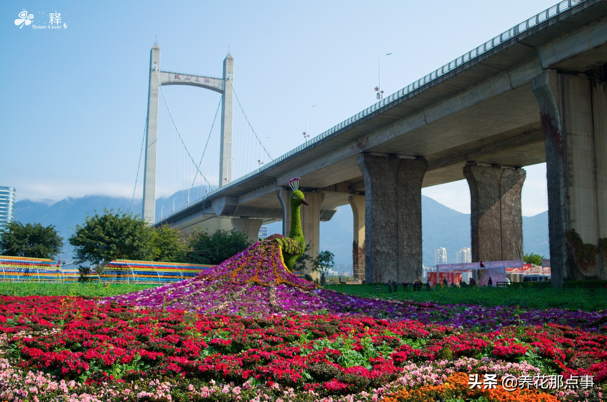 福州景点旅游视频,去福州旅游自由行攻略图