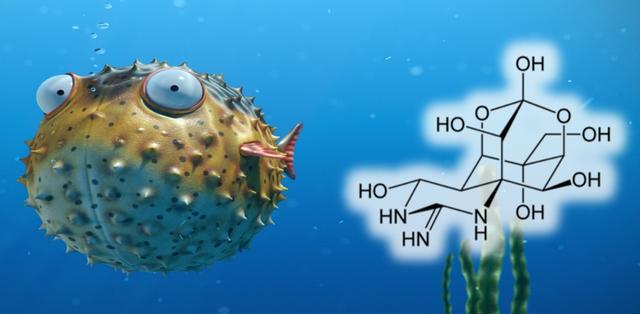 100%天然河豚毒箭？给*物文**里的中国史来点批判性思考