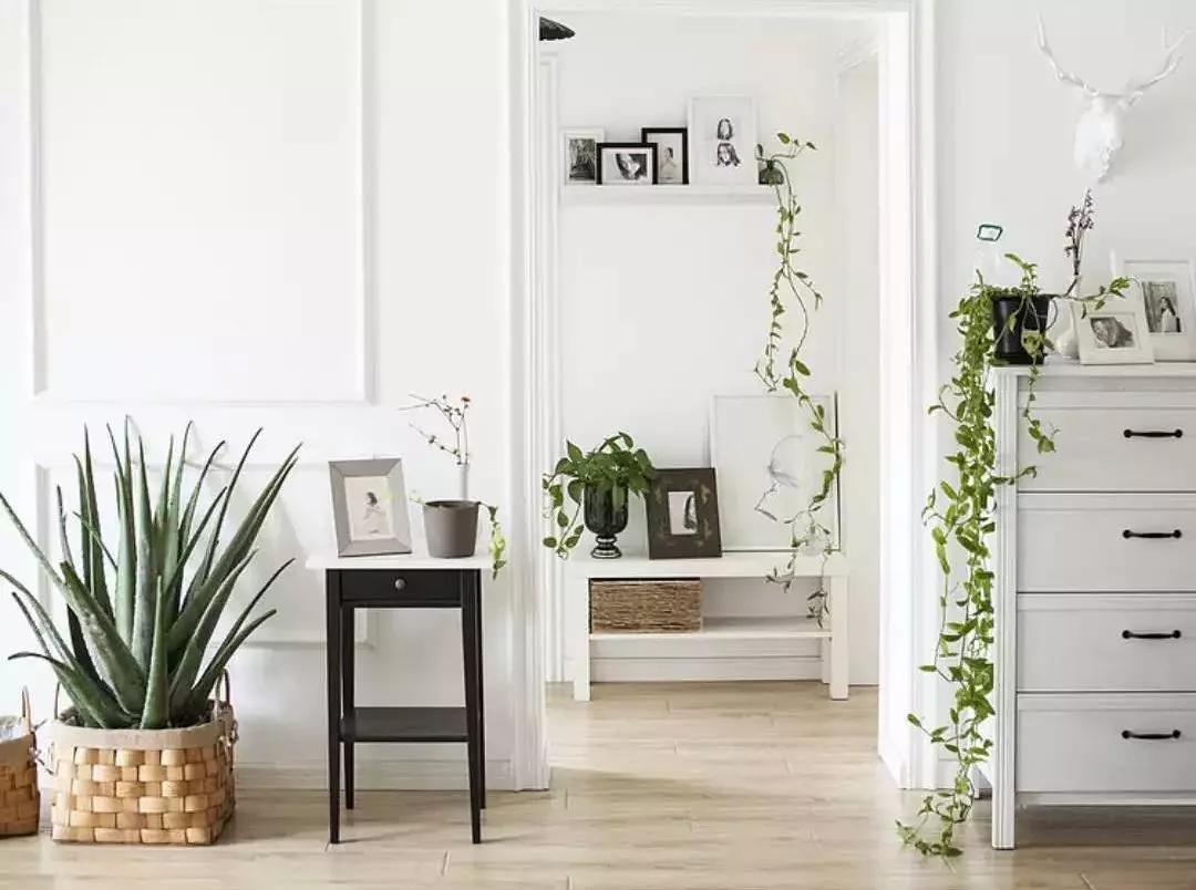 小夫妻98㎡家意外走红!登北京地铁广告,这个家才是都市里的奢侈