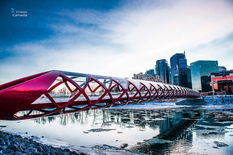 海外见闻原创视频,海外留学见闻