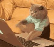 送喜欢的人520送什么礼物,520送男朋友实用礼物推荐