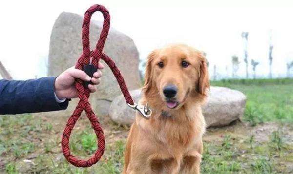 暑期谨防儿童意外伤害,暑期儿童安全隐患有哪些