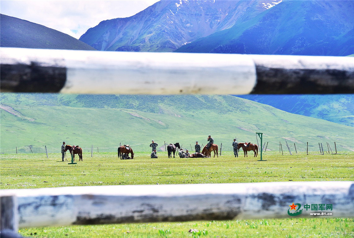 雪山见证，这是草原九班的“牧马青春”