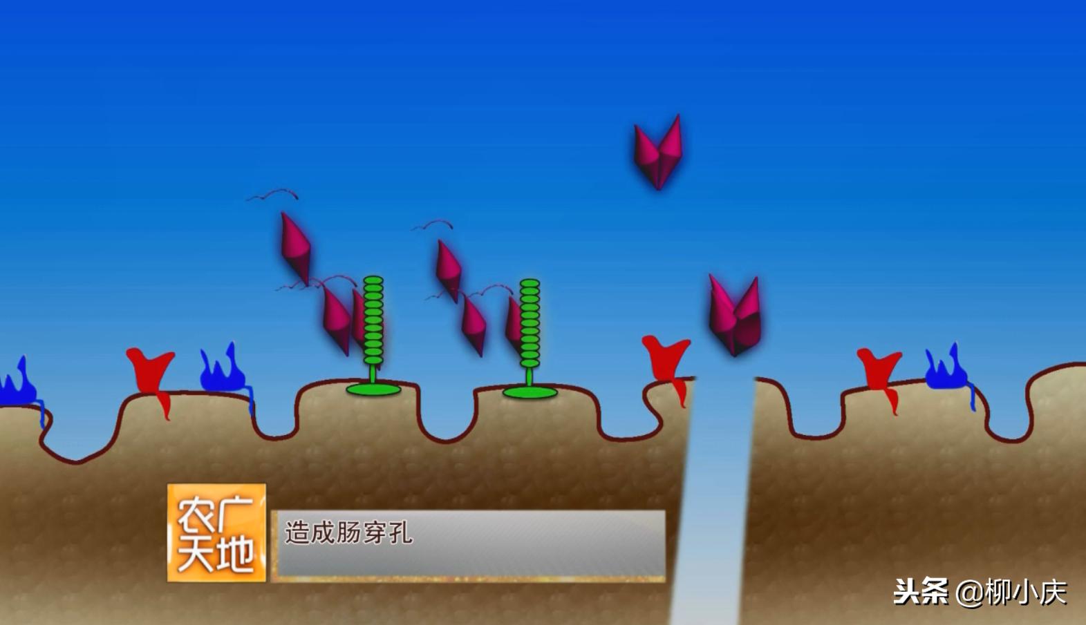 “我们追求的就是′虫吃了会死，人吃了没事′”这么高端！