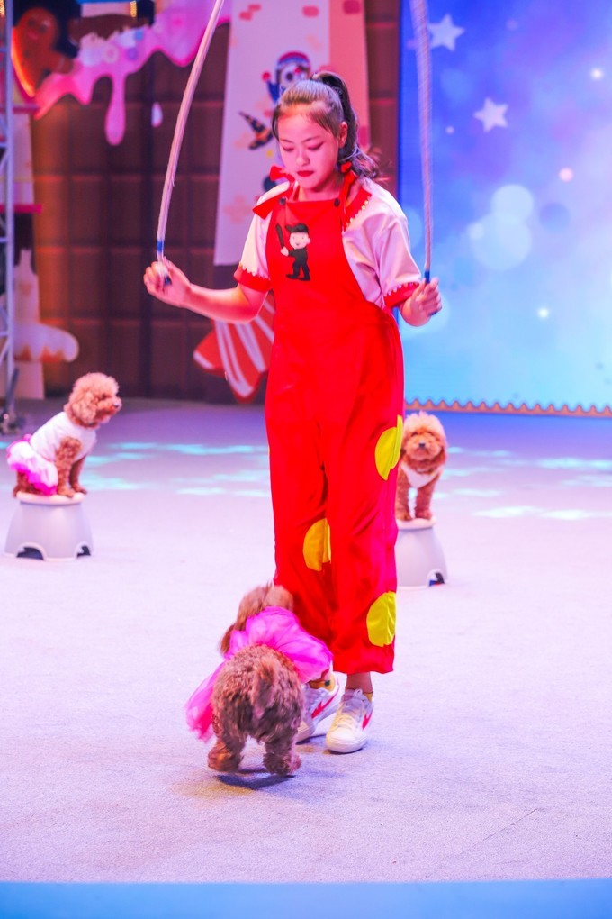 巧克力王国英德景区攻略,旅游攻略巧克力小镇