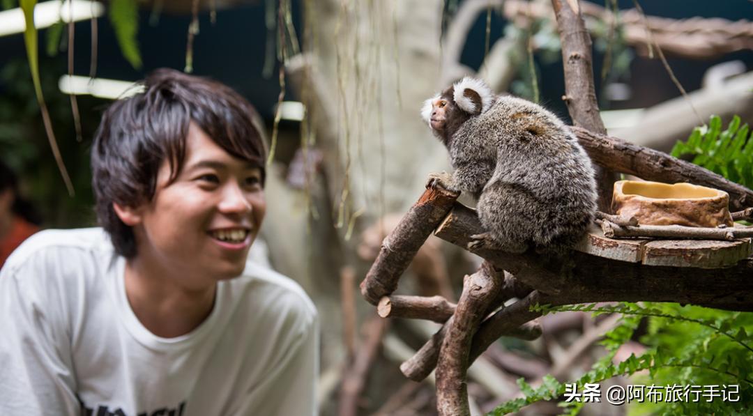 沿新干线北上，还没到函馆，就有条值回票价的JRPASS路线