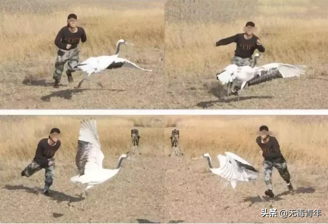 被囚34年取精，被迫亲手杀死爱子，最后只能挣扎着死去…