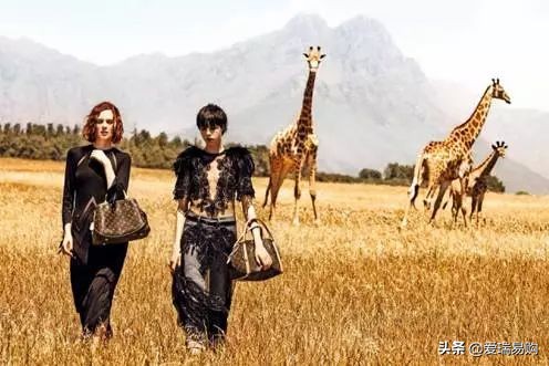 lv老花包大热门,lv黑色老花和棕色老花哪个保值