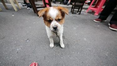 武汉吃宵夜一条街,在武汉吃宵夜