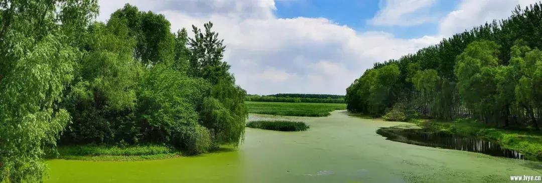 北京小众湿地公园免费,北京周边湿地公园