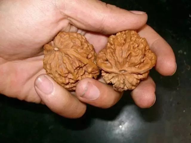 文玩核桃刚到手必须刷亮才能盘吗,文玩核桃正确盘玩手法