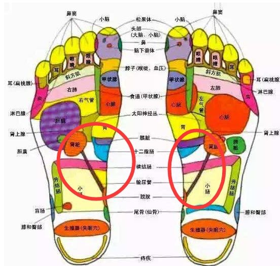 尿酸高引起的痛风只有大脚趾疼么,尿酸高痛风2次了要吃药吗