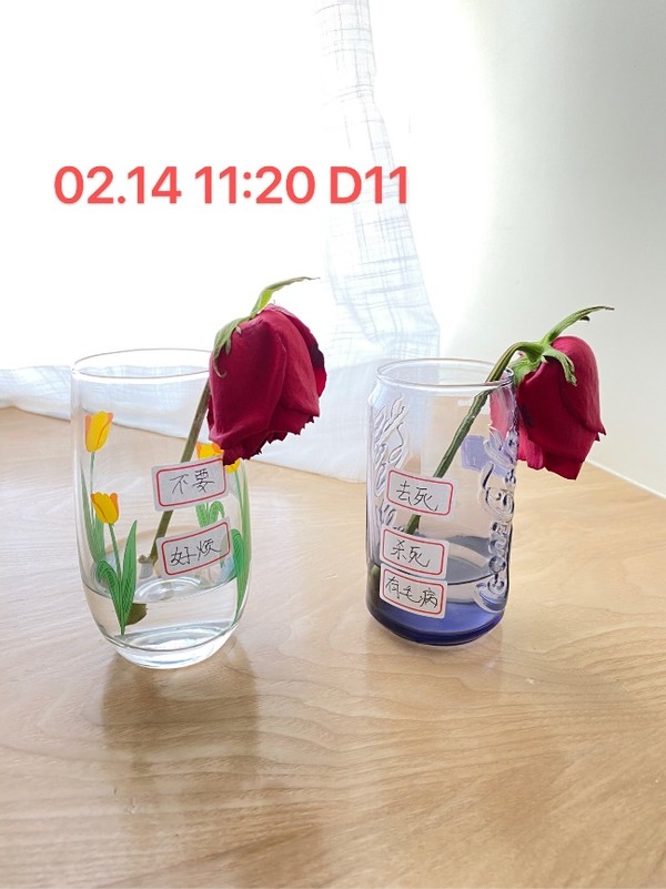 无形决定有形的说法,无形决定有形