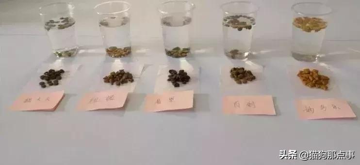 雀巢普瑞纳妙多乐,普瑞纳妙多乐怎么样