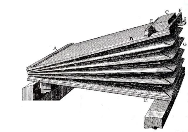 口琴口风琴竖笛哪个好学,口琴和口风琴图片
