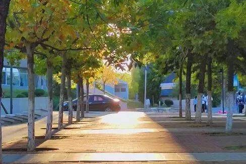 辽宁省高校（三十一）大连医科大学