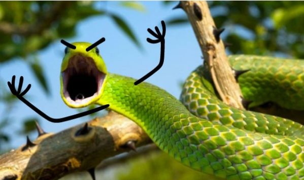 为什么泰国不能开夜车,在泰国开车的体验