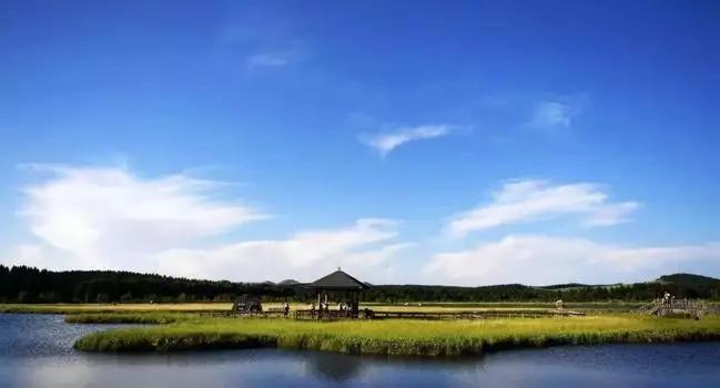 钟正生谈中国经济,钟正生经济分析