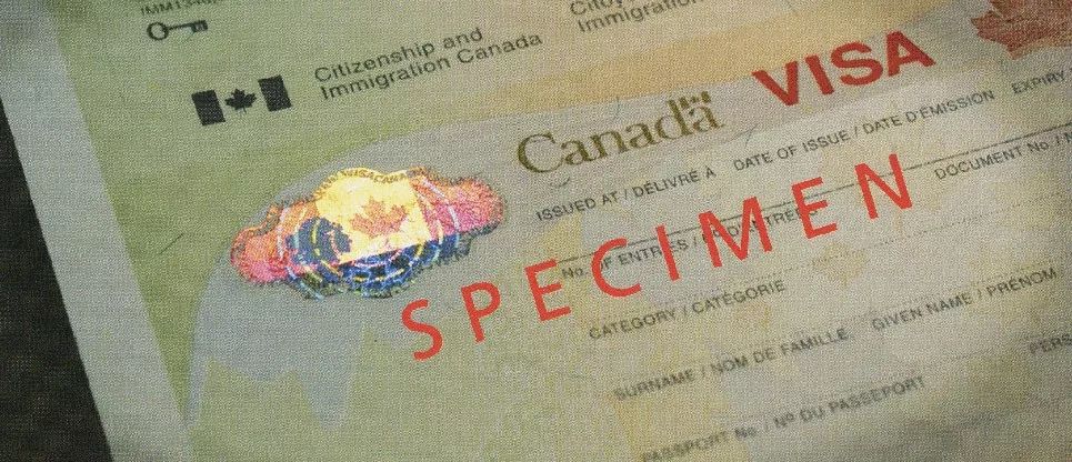 护照上面蓝色防伪照片效果,各国护照上的精美光学全息防伪图