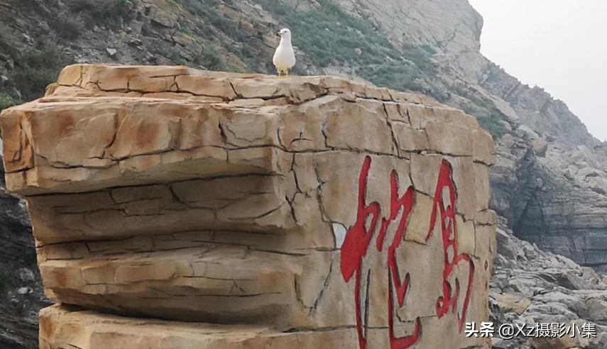 大连蛇岛旅游体验,大连蛇岛景区