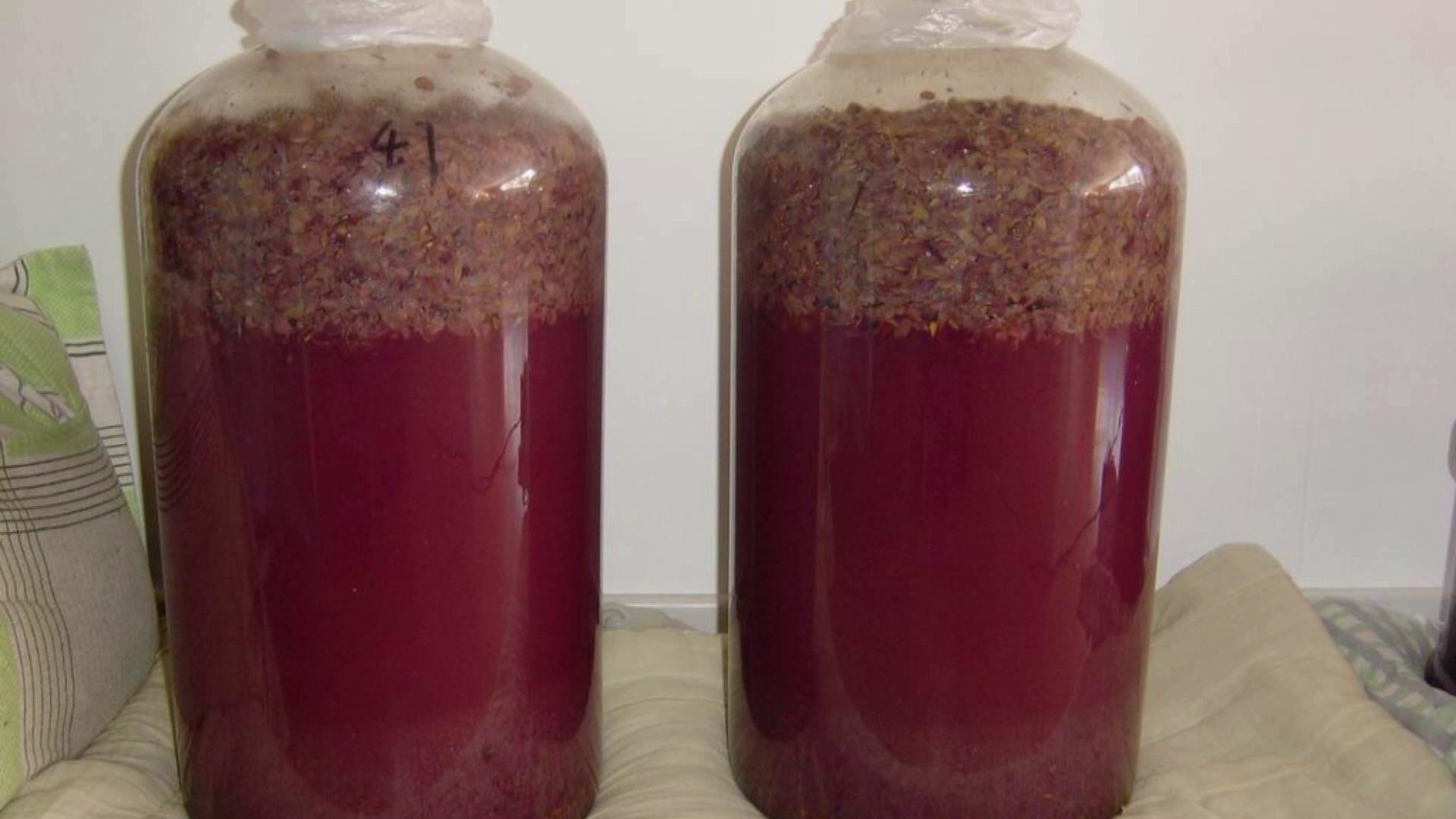 怎么自酿葡萄酒的方法与步骤,自酿葡萄酒家常做法可以用白糖吗