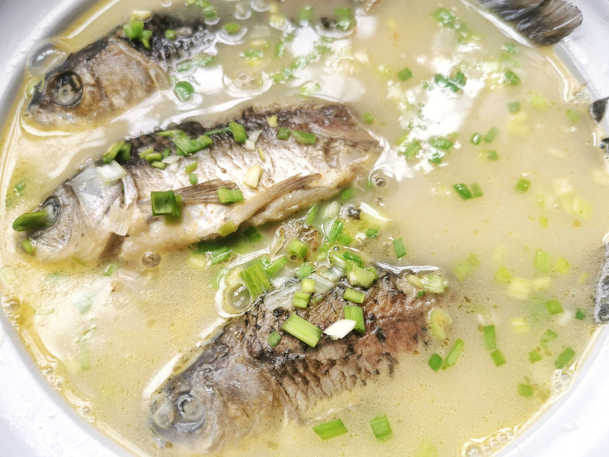 老人喝什么鱼汤最好,什么鱼不适合熬鱼汤