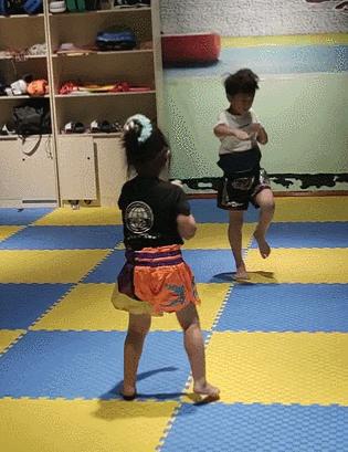 搏击跆拳道散打哪个适合孩子,搏击散打跆拳道学哪个好