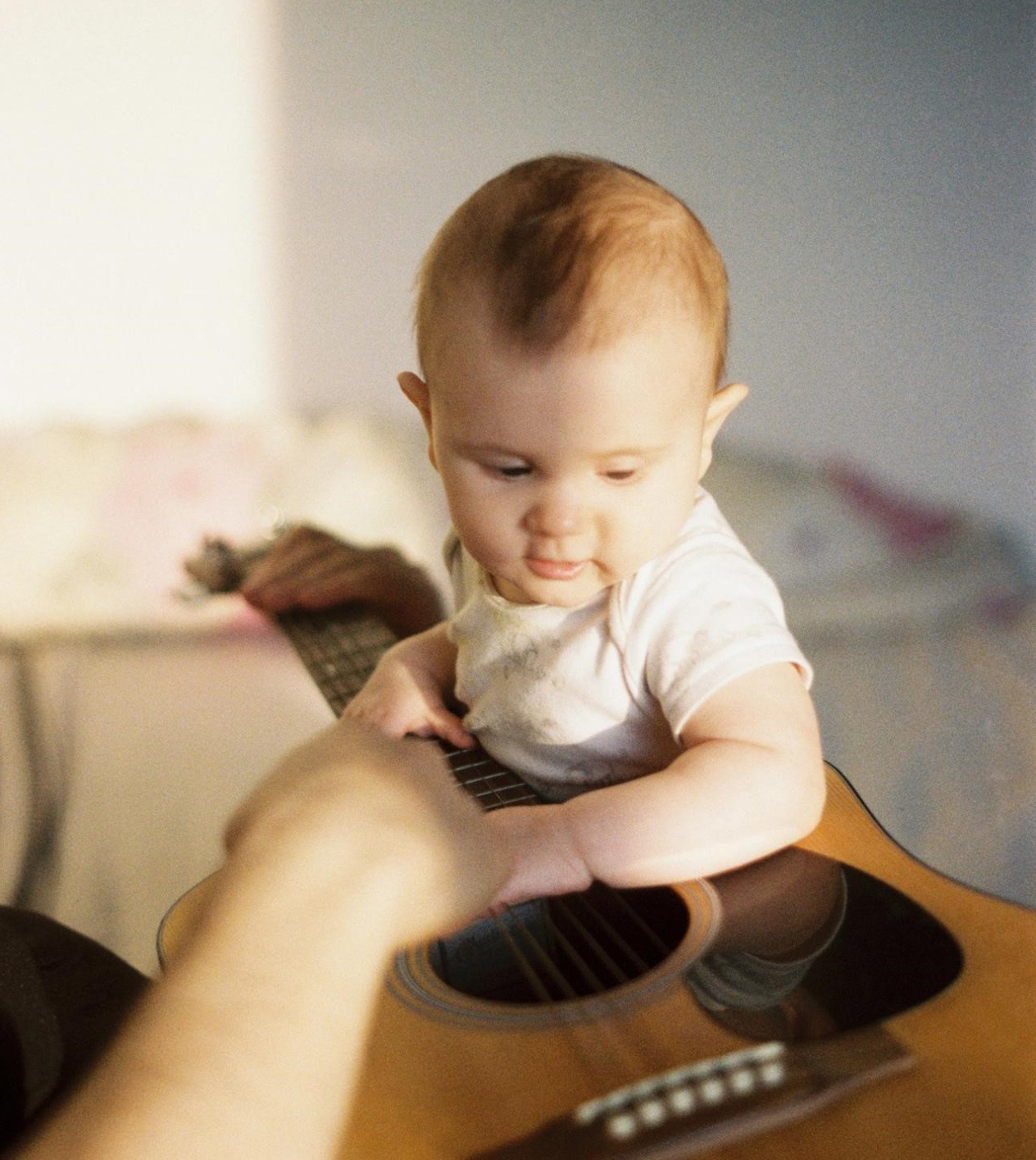 纽奶乐好吸收吗,纽奶乐奶粉的优点和缺点
