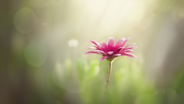 30岁一事无成我们需要怎样面对,30岁一事无成的十大缺点